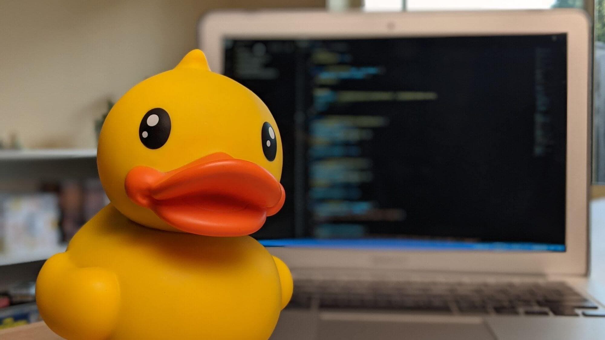 Duck